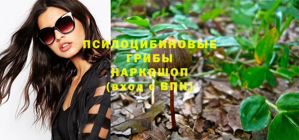 СК Алзамай