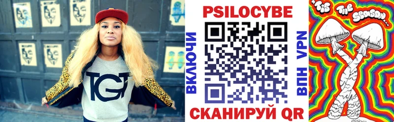 Псилоцибиновые грибы Psilocybine cubensis  Гаджиево 